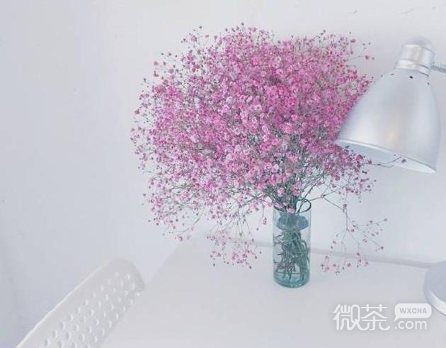 文艺的小清新背景封面图片