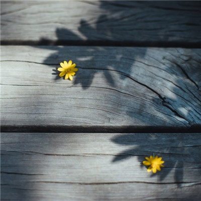 森系小清新绿色系微信头像