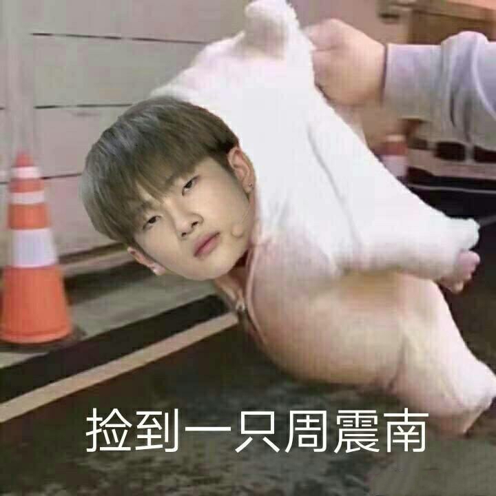 呆萌小伙周震南强势上线微信表情包