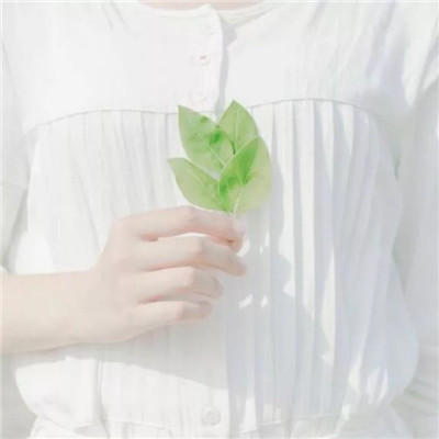 森系小清新绿色系微信头像