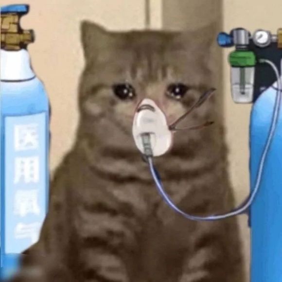 微信近期斗图恶搞表情2020/8/17（二）