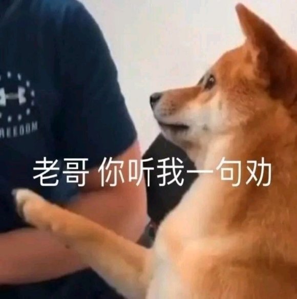 微信近期斗图恶搞表情2020/8/17（二）