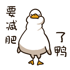 关于Duck乐鸭子的微信表情包