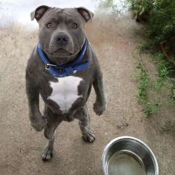 微信近期斗图恶搞表情2020/8/17（二）