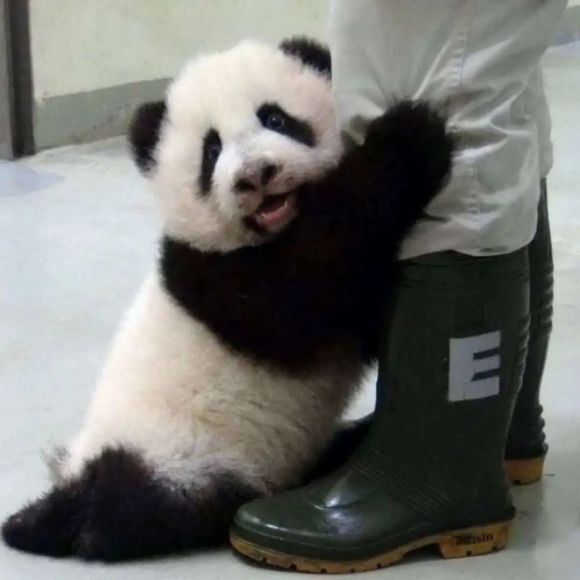 微信近期斗图恶搞表情2020/8/17