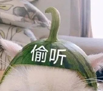 微信近期斗图恶搞表情2020/8/17（二）