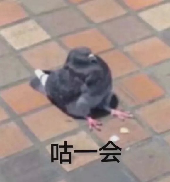 微信近期斗图恶搞表情2020/8/17（二）