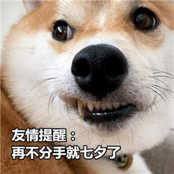 七夕节单身狗微信表情包