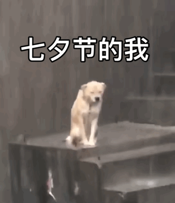 七夕节单身狗微信表情包