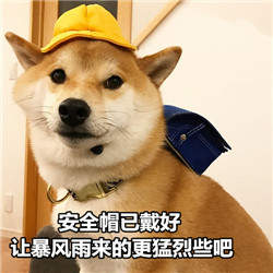 七夕节单身狗微信表情包