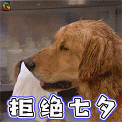 七夕节单身狗微信表情包