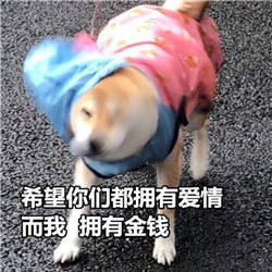 七夕节单身狗微信表情包