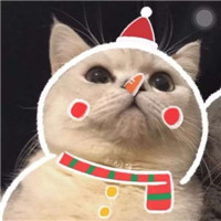 可爱的猫咪情侣头像