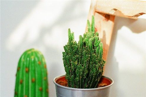 小清新的微信朋友圈配图