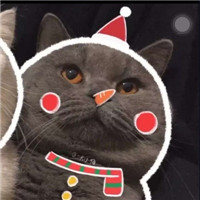 可爱的猫咪情侣头像