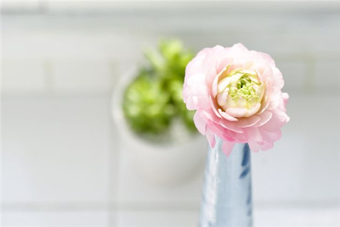 小清新的微信朋友圈配图