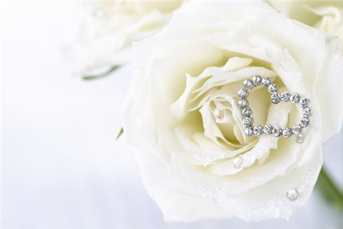 小清新的微信朋友圈配图