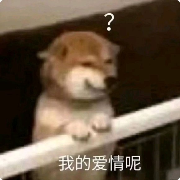 微信近期斗图恶搞表情2020/8/21(二)