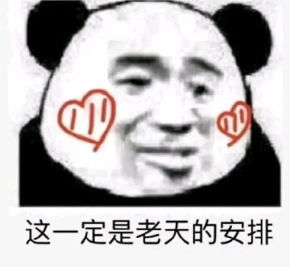 微信近期斗图恶搞表情2020/8/21(二)