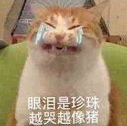 微信近期斗图恶搞表情2020/8/22