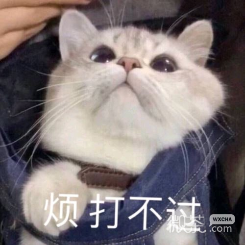 微信近期斗图恶搞表情2020/8/22