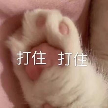 微信近期斗图恶搞表情2020/8/21