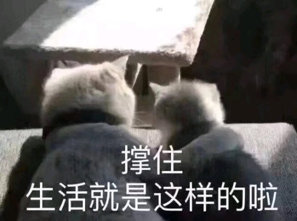 微信近期斗图恶搞表情2020/8/22