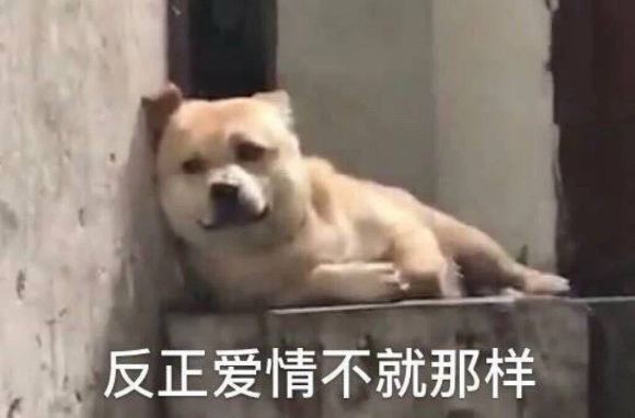 微信近期斗图恶搞表情2020/8/21