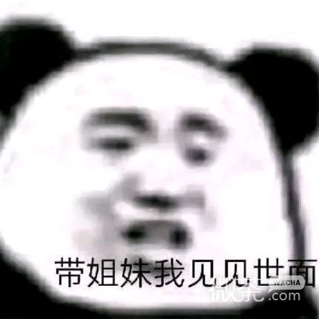 群聊微信熊猫头表情包