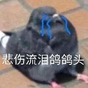 微信近期斗图恶搞表情2020/8/23