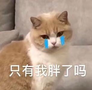 微信近期斗图恶搞表情2020/8/21