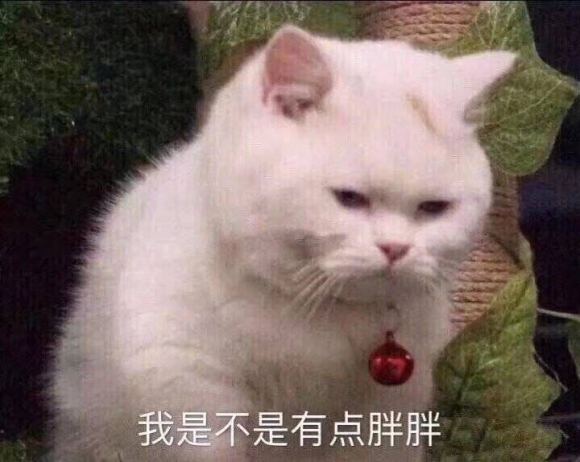 微信近期斗图恶搞表情2020/8/21