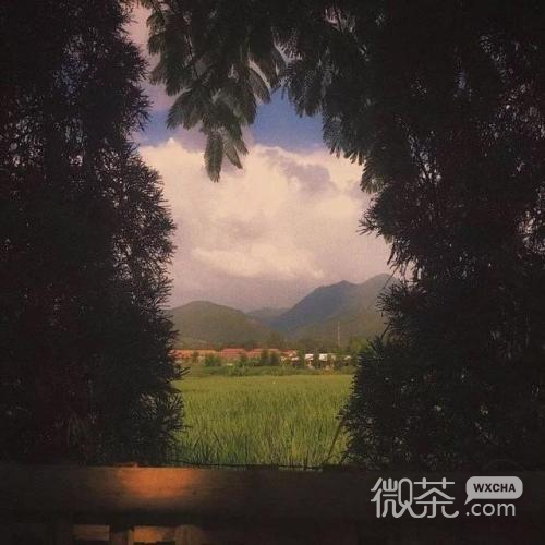 治愈系风景微信背景图片