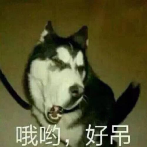 高级怼人专用微信表情包