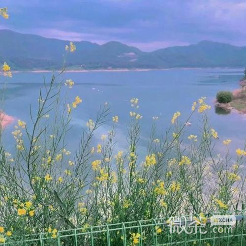 治愈系风景微信背景图片