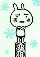 微信近期斗图恶搞表情2020/8/24（二）