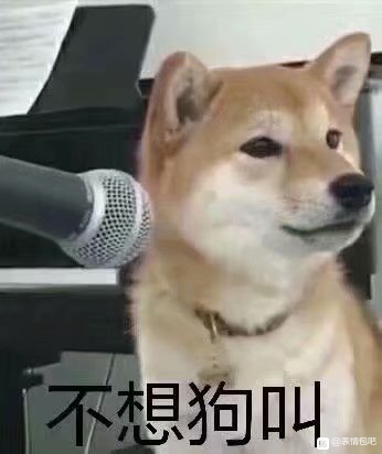 微信近期斗图恶搞表情2020/8/24（二）