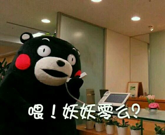 微信近期斗图恶搞表情2020/8/24（二）