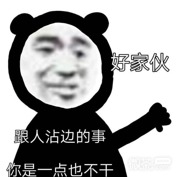 微信近期斗图恶搞表情2020/8/24