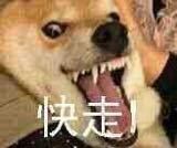 微信近期斗图恶搞表情2020/8/25（二）