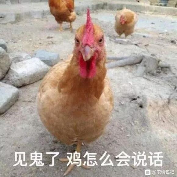 微信近期斗图恶搞表情2020/8/25