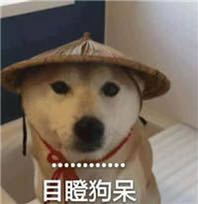 微信近期斗图恶搞表情2020/8/25