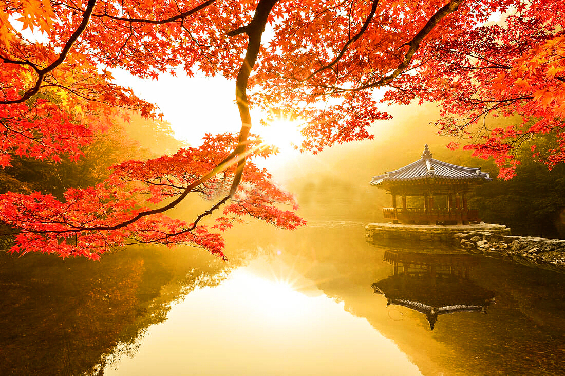 文艺唯美的简约微信相册封面图