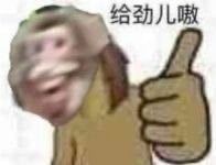 微信近期斗图恶搞表情2020/8/25（二）