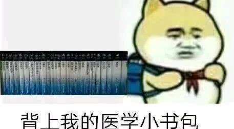 微信搞笑学科表情包