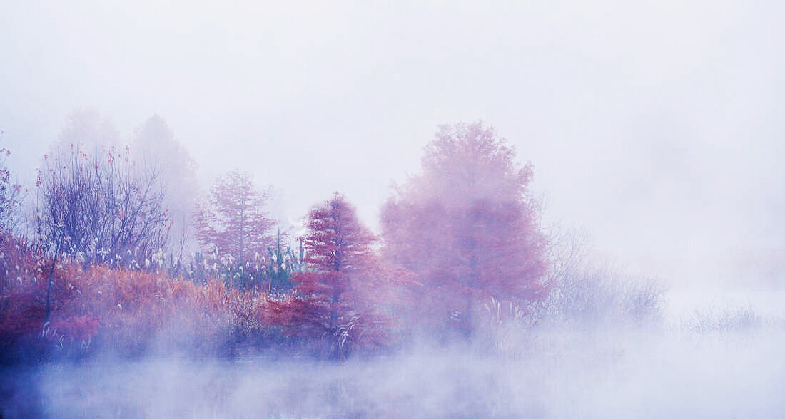 文艺唯美的简约微信相册封面图