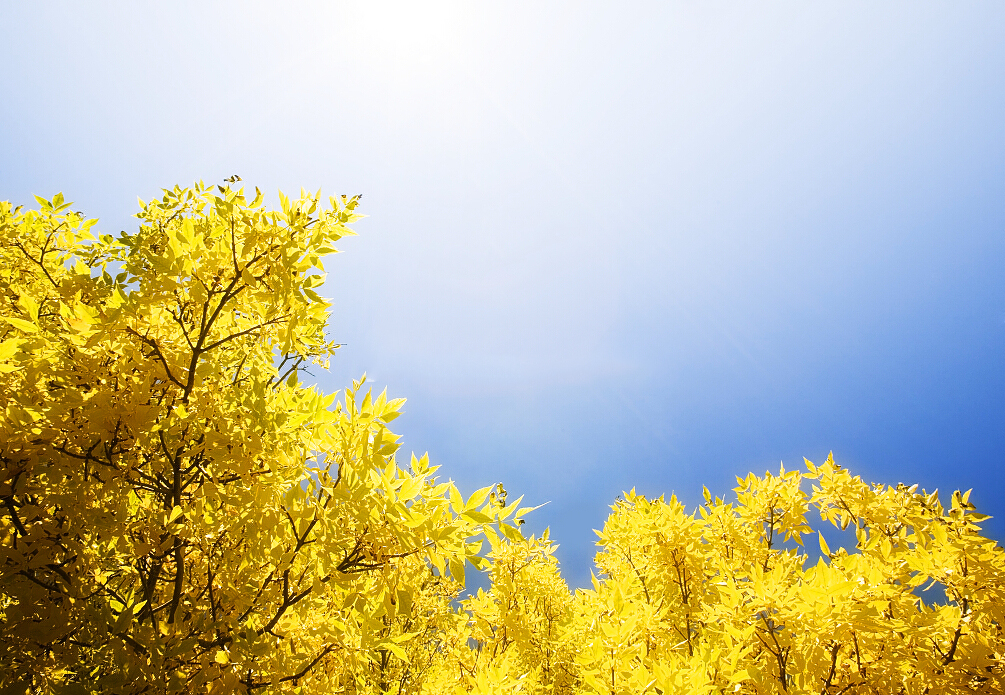 文艺唯美的简约微信相册封面图