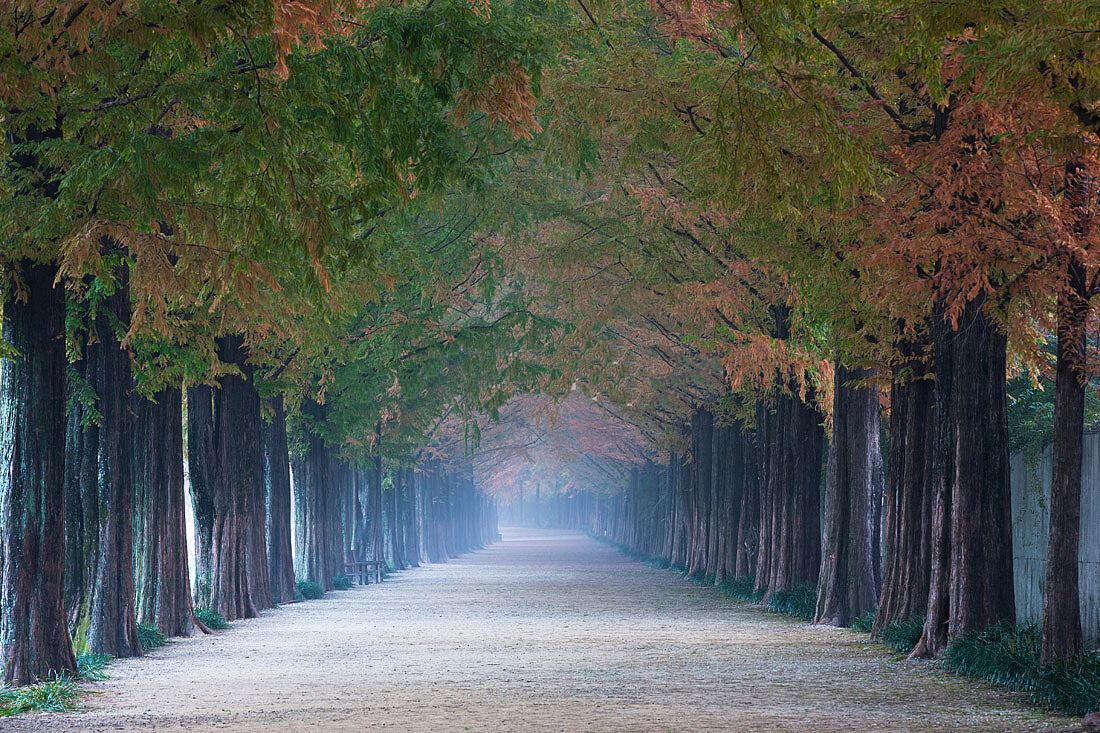 文艺唯美的简约微信相册封面图