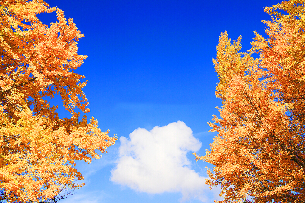 文艺唯美的简约微信相册封面图