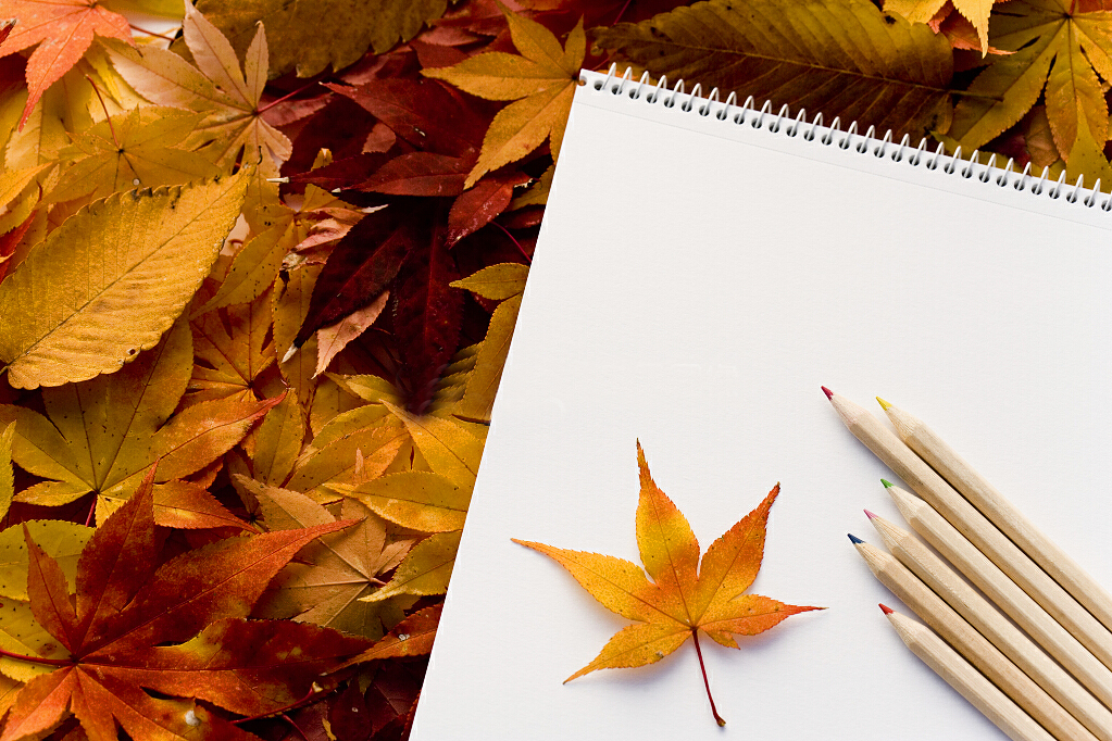 文艺唯美的简约微信相册封面图